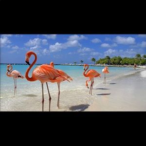 Meet your Posher, Kristin